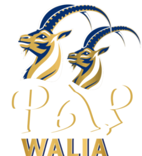 Our Sponsors